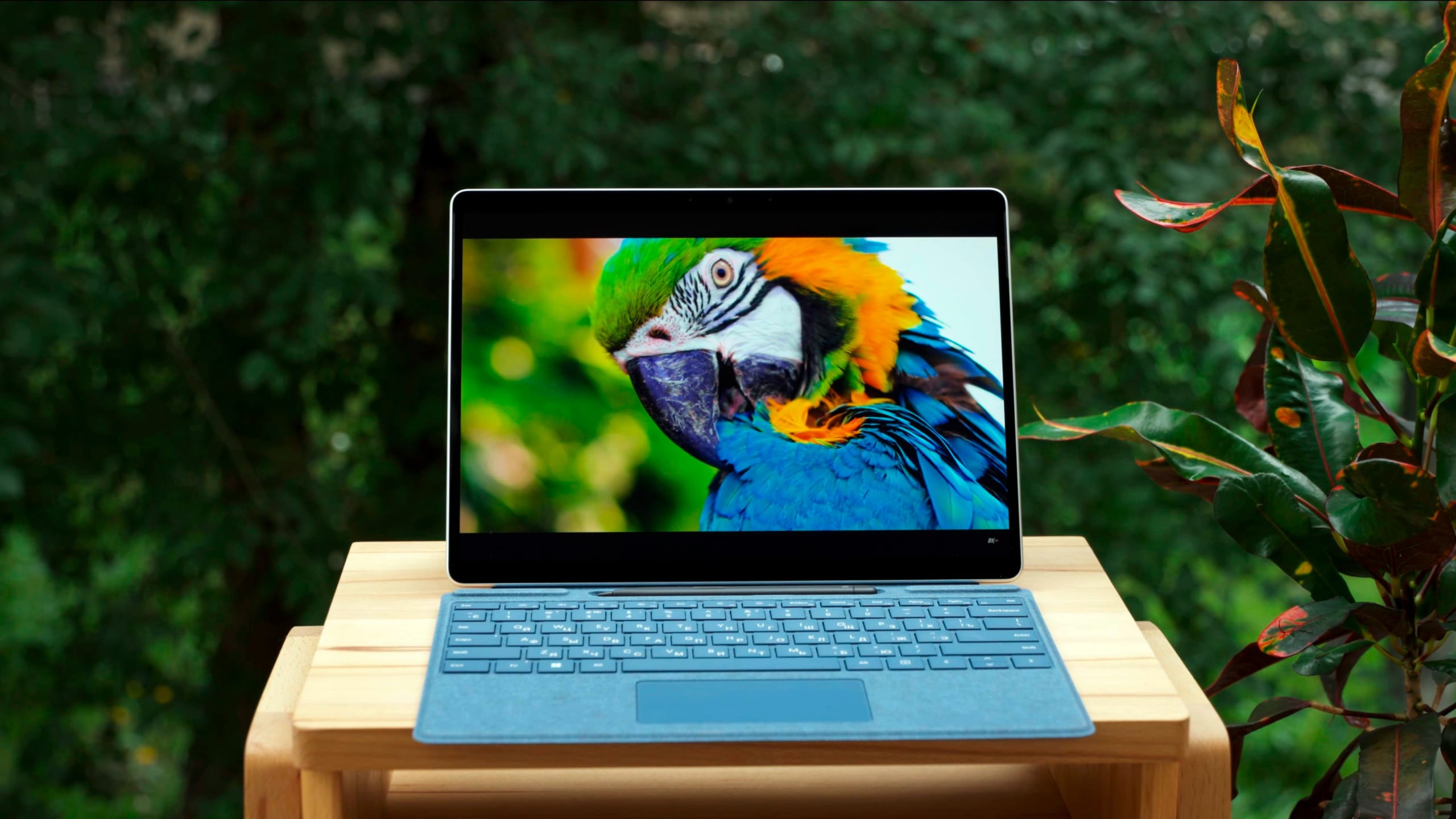 Nên mua Surface Pro 11 Copilot+ PC hay Surface Pro 10 để phục vụ doanh nghiệp? 1 Surface Pro